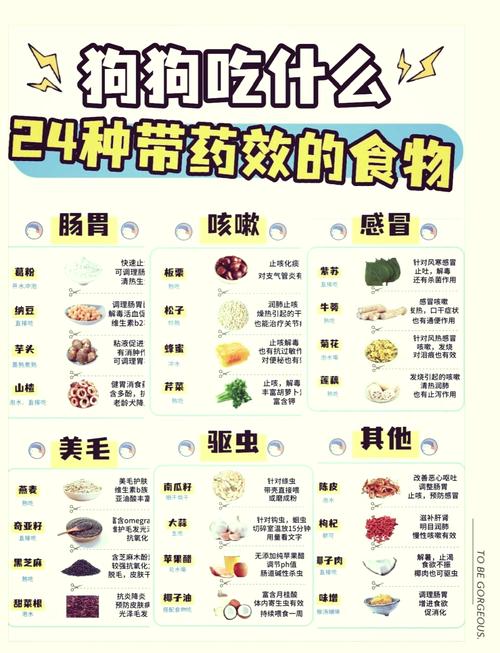 作为消费者“罗红霉素狗狗可以用吗”你不能不知道-第4张图片 作为消费者“罗红霉素狗狗可以用吗”你不能不知道-第4张图片