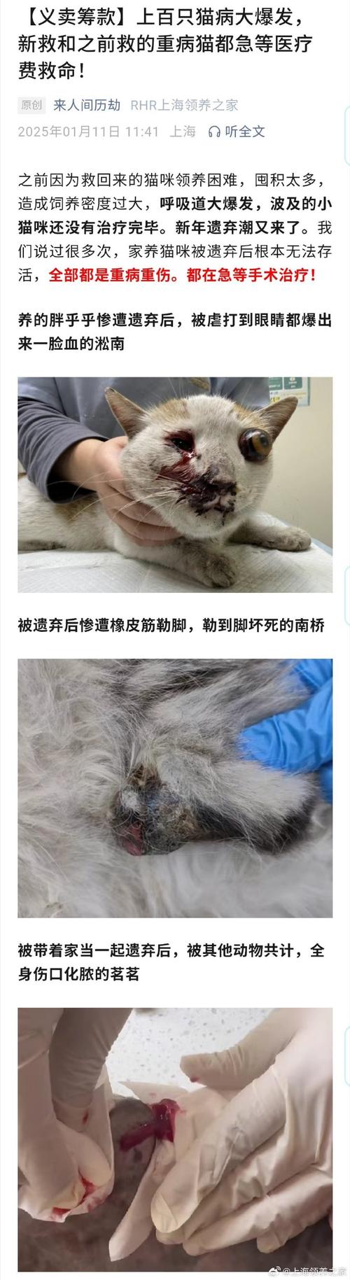 掉腰子是什么症状-兔子掉腰子是什么症状-第7张图片 掉腰子是什么症状-兔子掉腰子是什么症状-第7张图片