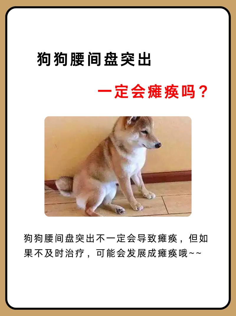 掉腰子是什么症状-兔子掉腰子是什么症状-第8张图片 掉腰子是什么症状-兔子掉腰子是什么症状-第8张图片