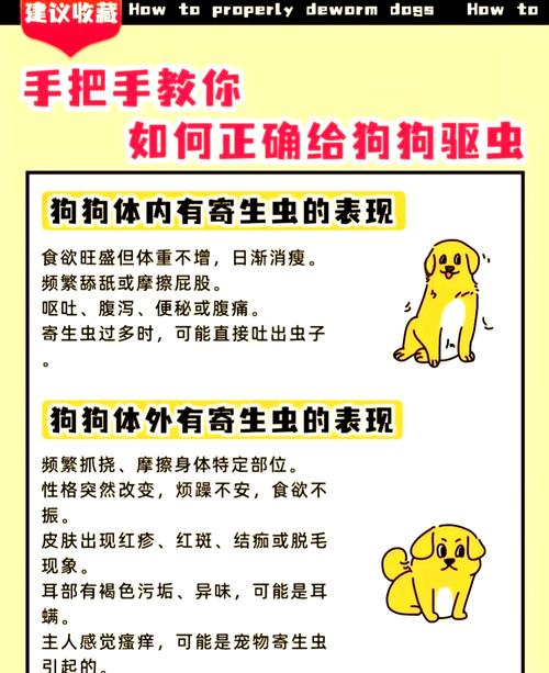 解析“狗狗驱虫”你不知道的事-第2张图片 解析“狗狗驱虫”你不知道的事-第2张图片