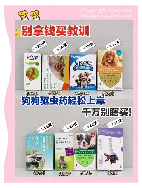 解析“狗狗驱虫”你不知道的事-第4张图片 解析“狗狗驱虫”你不知道的事-第4张图片