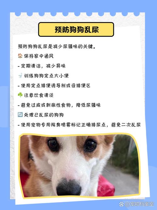 宠物除味剂有用吗/宠物除味剂一定要慎用-第2张图片 宠物除味剂有用吗/宠物除味剂一定要慎用-第2张图片