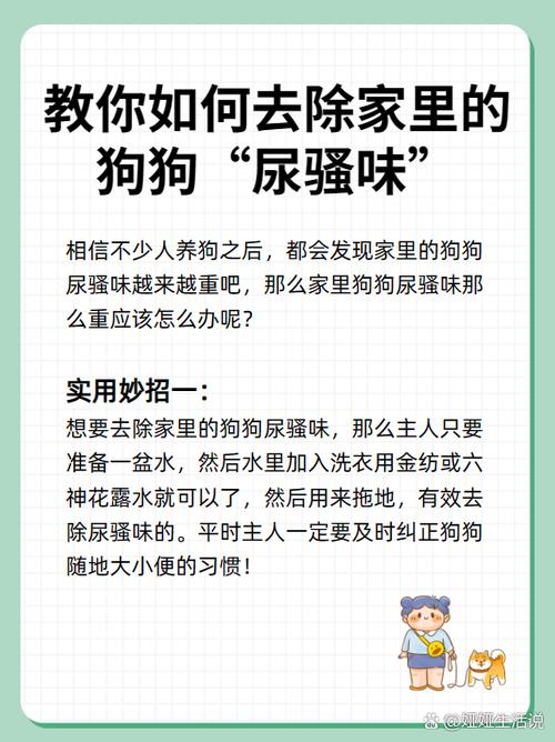 宠物除味剂有用吗/宠物除味剂一定要慎用-第3张图片 宠物除味剂有用吗/宠物除味剂一定要慎用-第3张图片