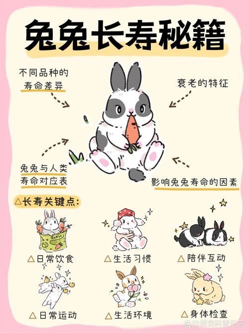 宠物除味剂有用吗/宠物除味剂一定要慎用-第4张图片 宠物除味剂有用吗/宠物除味剂一定要慎用-第4张图片