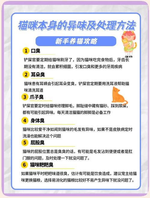 宠物除味剂有用吗/宠物除味剂一定要慎用-第7张图片 宠物除味剂有用吗/宠物除味剂一定要慎用-第7张图片