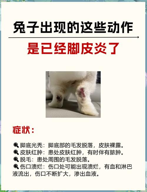 宠物除味剂有用吗/宠物除味剂一定要慎用-第8张图片 宠物除味剂有用吗/宠物除味剂一定要慎用-第8张图片