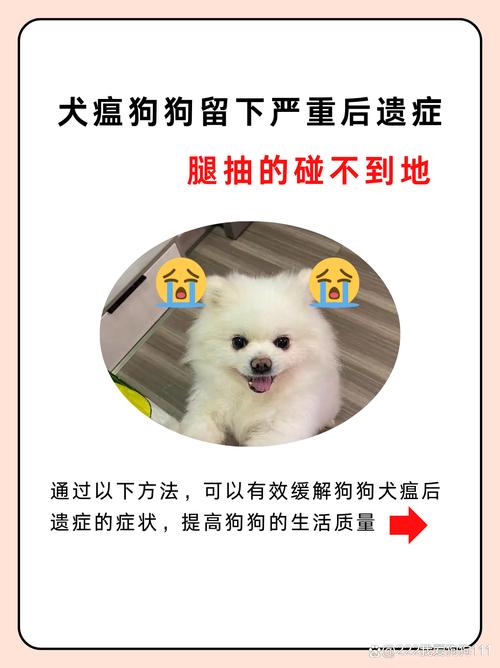 犬瘟热最后的症状,犬瘟热最后的症状有哪些-第4张图片 犬瘟热最后的症状,犬瘟热最后的症状有哪些-第4张图片