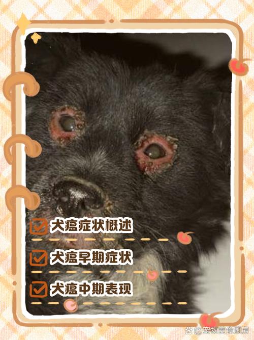 犬瘟热最后的症状,犬瘟热最后的症状有哪些-第7张图片 犬瘟热最后的症状,犬瘟热最后的症状有哪些-第7张图片