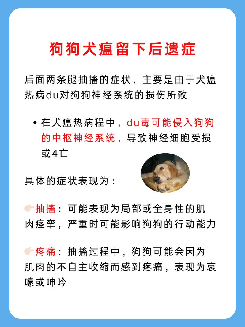 犬瘟热最后的症状,犬瘟热最后的症状有哪些-第8张图片 犬瘟热最后的症状,犬瘟热最后的症状有哪些-第8张图片