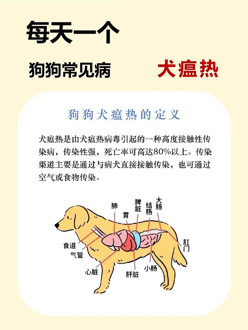 犬瘟热最后的症状,犬瘟热最后的症状有哪些-第10张图片 犬瘟热最后的症状,犬瘟热最后的症状有哪些-第10张图片