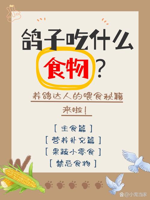 作为消费者“鸽子爱吃什么粮食”你不能不知道-第2张图片 作为消费者“鸽子爱吃什么粮食”你不能不知道-第2张图片