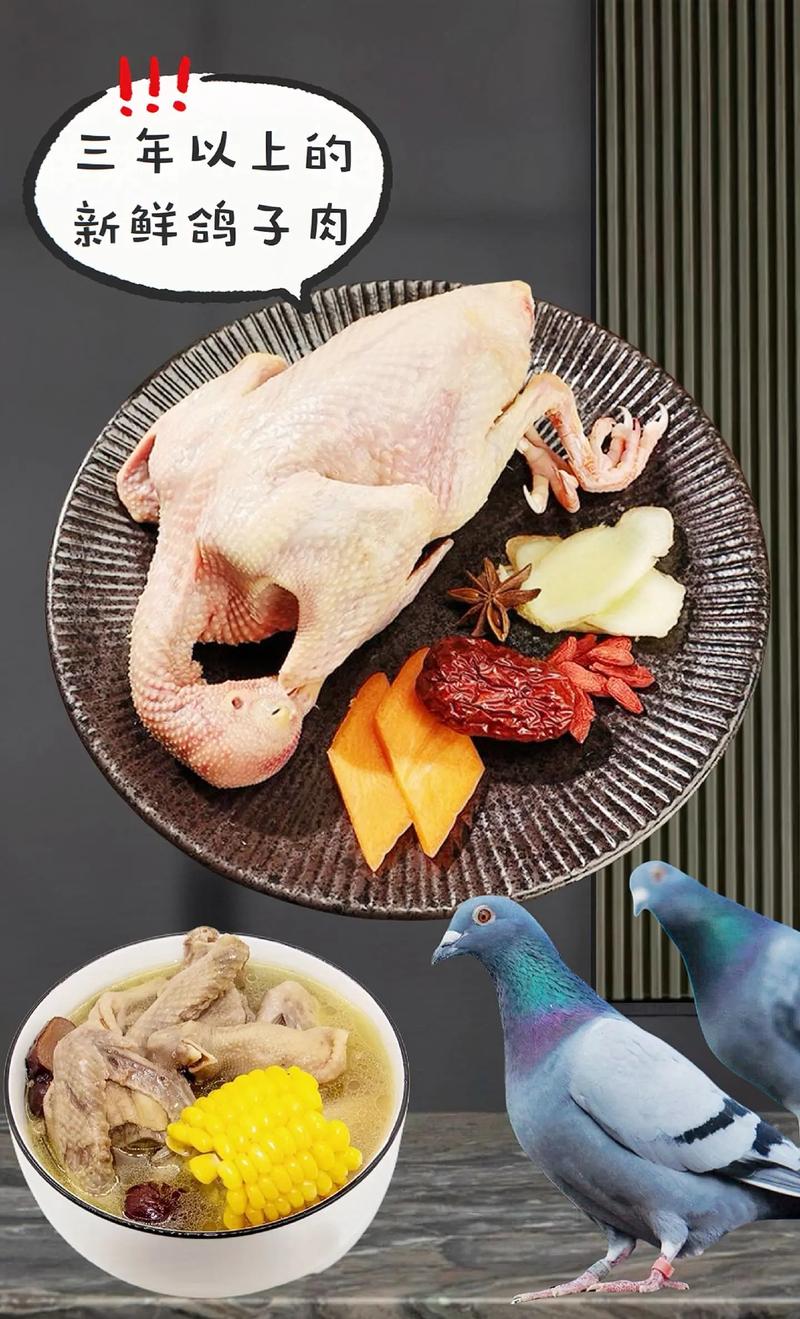 作为消费者“鸽子爱吃什么粮食”你不能不知道-第3张图片 作为消费者“鸽子爱吃什么粮食”你不能不知道-第3张图片