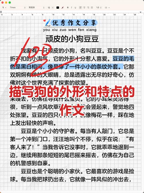 小狗的外形特征-介绍小狗的外形特征-第6张图片 小狗的外形特征-介绍小狗的外形特征-第6张图片