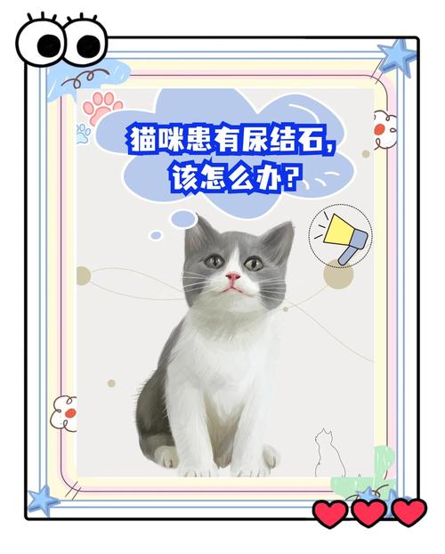 猫咪得了尿结石怎么办-猫得了尿结石有什么症状-第4张图片 猫咪得了尿结石怎么办-猫得了尿结石有什么症状-第4张图片