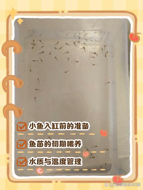 解析“刚出生的小鱼几天喂一次”你不知道的事-第5张图片 解析“刚出生的小鱼几天喂一次”你不知道的事-第5张图片