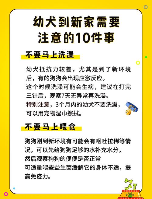 狗狗没打疫苗可以洗澡吗,狗狗没打疫苗不能洗澡怎么办-第1张图片 狗狗没打疫苗可以洗澡吗,狗狗没打疫苗不能洗澡怎么办-第1张图片