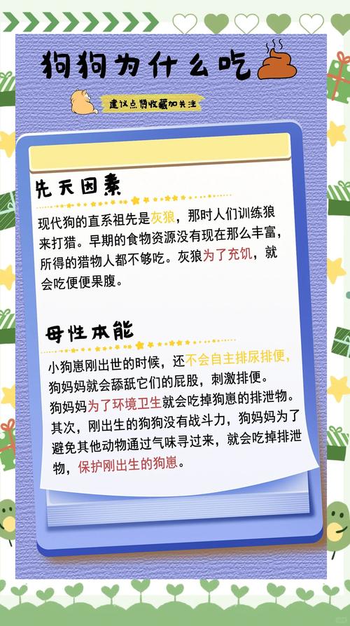 狗真的吃屎么-狗吃屎脏吗-第1张图片 狗真的吃屎么-狗吃屎脏吗-第1张图片