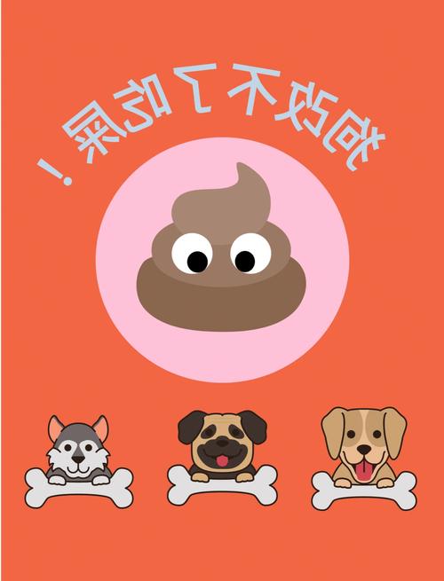 狗真的吃屎么-狗吃屎脏吗-第2张图片 狗真的吃屎么-狗吃屎脏吗-第2张图片