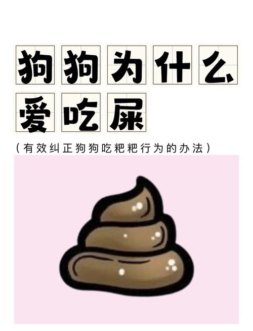 狗真的吃屎么-狗吃屎脏吗-第4张图片 狗真的吃屎么-狗吃屎脏吗-第4张图片