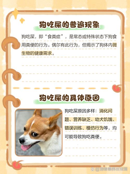 狗真的吃屎么-狗吃屎脏吗-第10张图片 狗真的吃屎么-狗吃屎脏吗-第10张图片