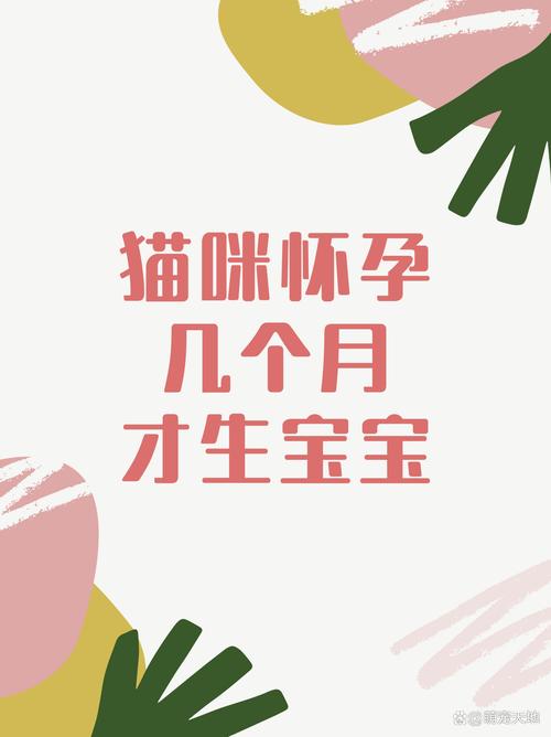 猫怀孕多久/猫怀孕多久肚子大起来-第4张图片 猫怀孕多久/猫怀孕多久肚子大起来-第4张图片