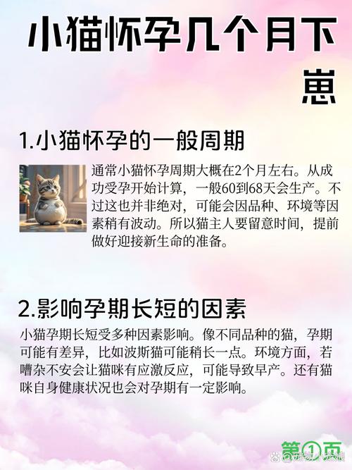 猫怀孕多久/猫怀孕多久肚子大起来-第5张图片 猫怀孕多久/猫怀孕多久肚子大起来-第5张图片