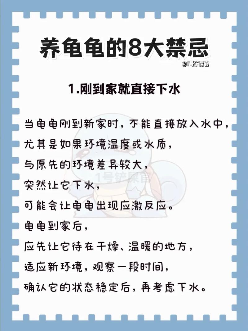 怎么养乌龟/怎么养乌龟蛋-第4张图片 怎么养乌龟/怎么养乌龟蛋-第4张图片