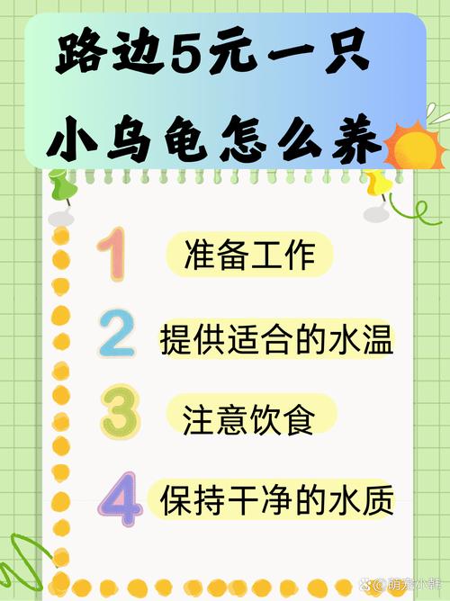 怎么养乌龟/怎么养乌龟蛋-第5张图片 怎么养乌龟/怎么养乌龟蛋-第5张图片
