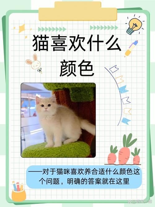 作为消费者“猫咪喜欢什么颜色”你不能不知道-第5张图片 作为消费者“猫咪喜欢什么颜色”你不能不知道-第5张图片
