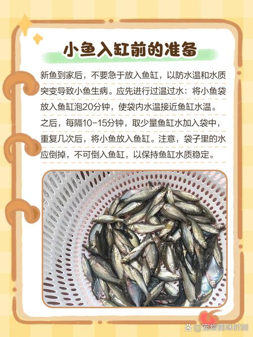 刚出生的小鱼吃什么比较好,刚出生的小鱼吃什么长得快-第5张图片 刚出生的小鱼吃什么比较好,刚出生的小鱼吃什么长得快-第5张图片