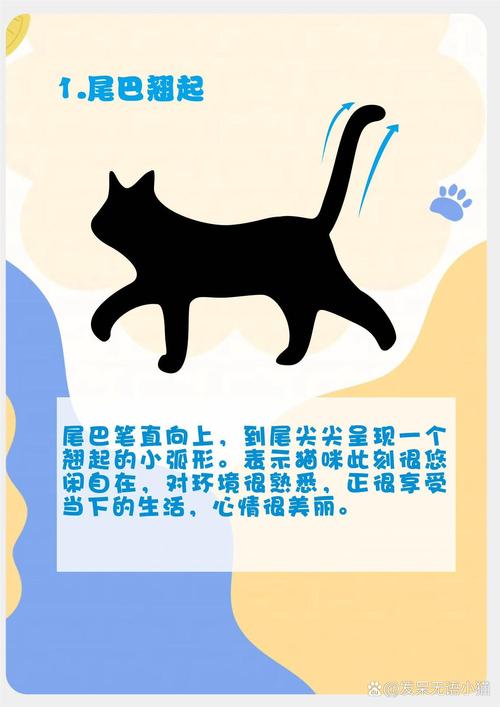 猫猫尾巴竖起来/猫猫尾巴竖起来打钩