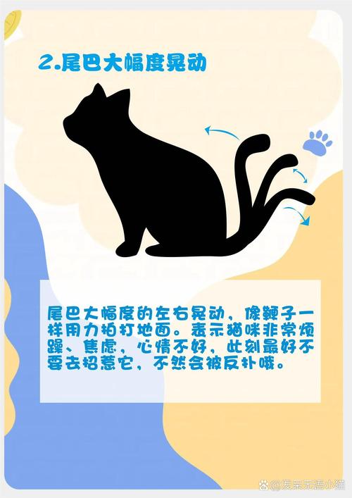 猫猫尾巴竖起来/猫猫尾巴竖起来打钩-第3张图片 猫猫尾巴竖起来/猫猫尾巴竖起来打钩-第3张图片