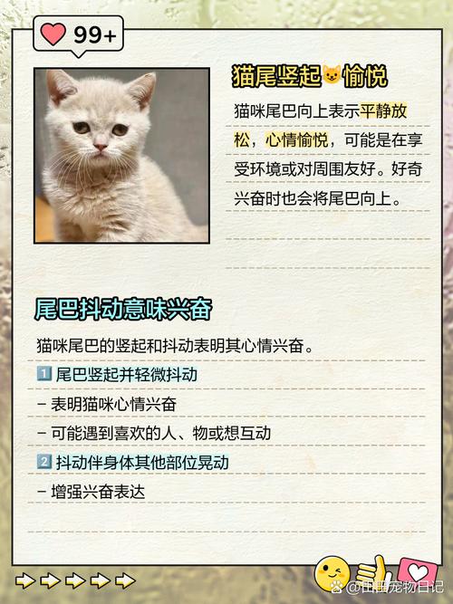 猫猫尾巴竖起来/猫猫尾巴竖起来打钩-第10张图片 猫猫尾巴竖起来/猫猫尾巴竖起来打钩-第10张图片
