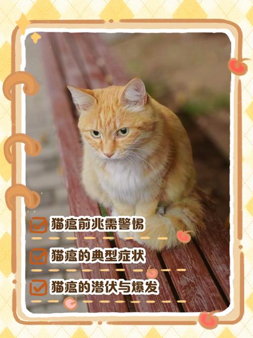 猫瘟的初期症状/猫瘟的初期症状是哪些-第3张图片 猫瘟的初期症状/猫瘟的初期症状是哪些-第3张图片