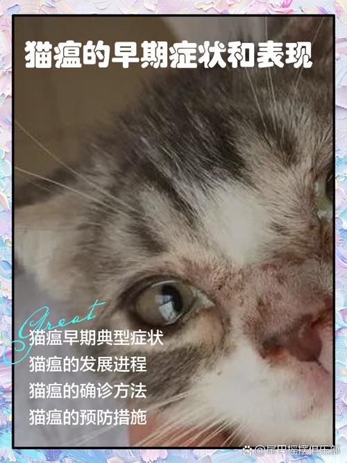 猫瘟的初期症状/猫瘟的初期症状是哪些-第4张图片 猫瘟的初期症状/猫瘟的初期症状是哪些-第4张图片