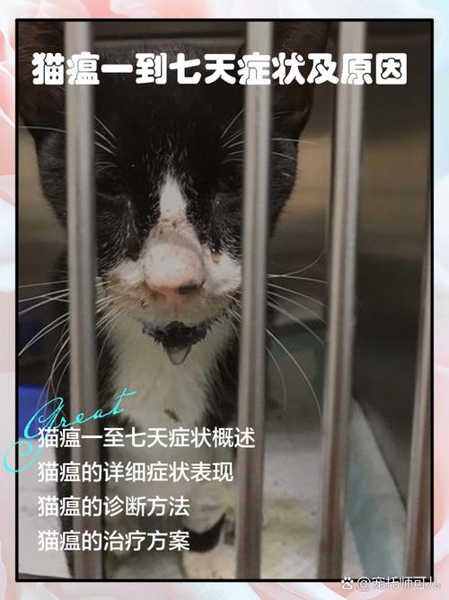 猫瘟的初期症状/猫瘟的初期症状是哪些-第6张图片 猫瘟的初期症状/猫瘟的初期症状是哪些-第6张图片