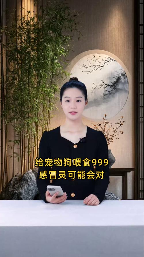 解析“狗狗能喝999感冒灵吗”你不知道的事-第4张图片 解析“狗狗能喝999感冒灵吗”你不知道的事-第4张图片