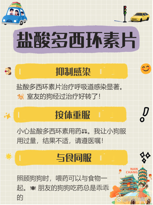 解析“狗狗能喝999感冒灵吗”你不知道的事-第6张图片 解析“狗狗能喝999感冒灵吗”你不知道的事-第6张图片