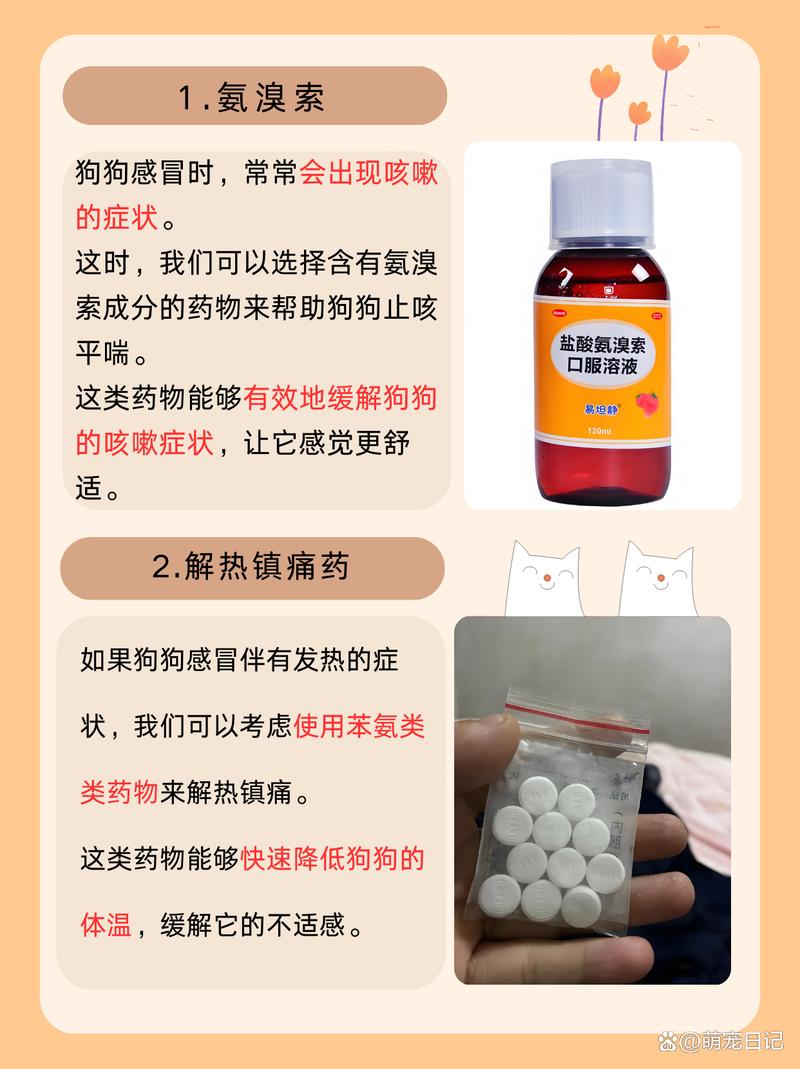 解析“狗狗能喝999感冒灵吗”你不知道的事-第9张图片 解析“狗狗能喝999感冒灵吗”你不知道的事-第9张图片