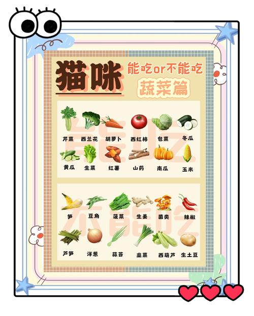 猫咪可以吃西红柿吗/猫猫可以吃西红柿嘛-第3张图片 猫咪可以吃西红柿吗/猫猫可以吃西红柿嘛-第3张图片
