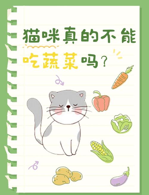 猫咪可以吃西红柿吗/猫猫可以吃西红柿嘛-第4张图片 猫咪可以吃西红柿吗/猫猫可以吃西红柿嘛-第4张图片