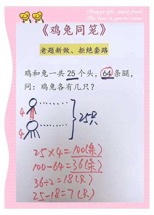 兔有几条腿-兔有几只腿-第4张图片 兔有几条腿-兔有几只腿-第4张图片