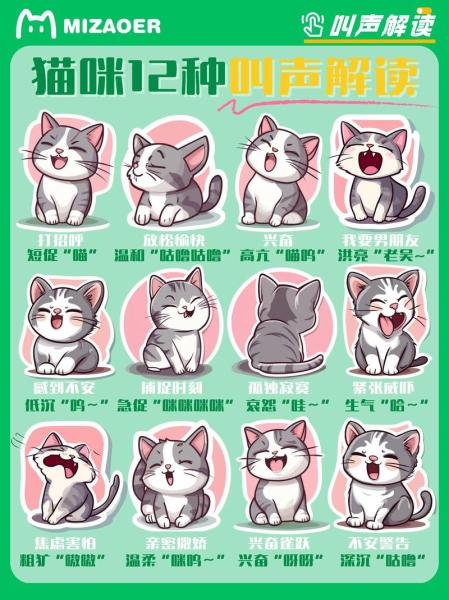 猫咪不同叫声的含义，猫咪每种叫声的含义