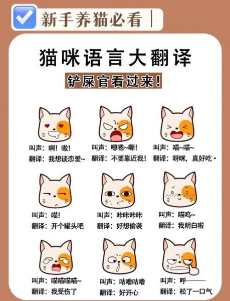 猫咪不同叫声的含义,猫咪每种叫声的含义-第2张图片 猫咪不同叫声的含义,猫咪每种叫声的含义-第2张图片