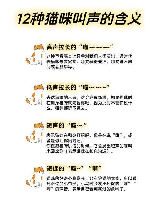 猫咪不同叫声的含义,猫咪每种叫声的含义-第4张图片 猫咪不同叫声的含义,猫咪每种叫声的含义-第4张图片