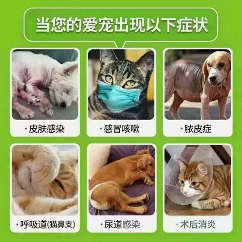莫比新,莫比新50mg猫咪用量-第6张图片 莫比新,莫比新50mg猫咪用量-第6张图片