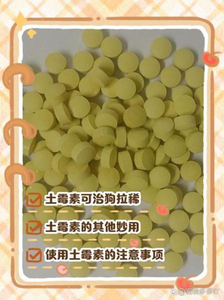 土霉素能给狗狗吃吗-土霉素能给狗狗吃吗一天几次-第4张图片 土霉素能给狗狗吃吗-土霉素能给狗狗吃吗一天几次-第4张图片
