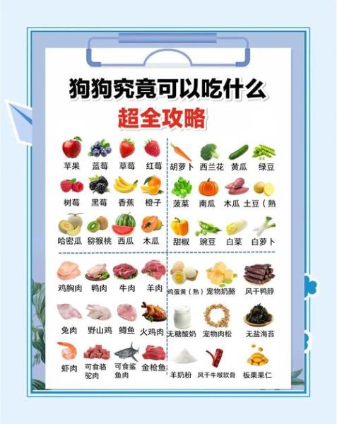 狗能吃什么水果/比熊狗能吃什么水果