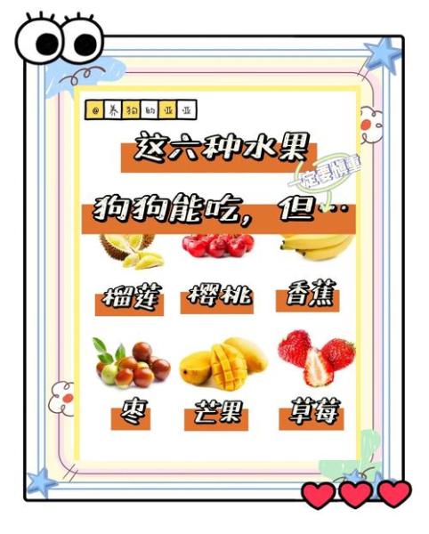 狗能吃什么水果/比熊狗能吃什么水果-第6张图片 狗能吃什么水果/比熊狗能吃什么水果-第6张图片