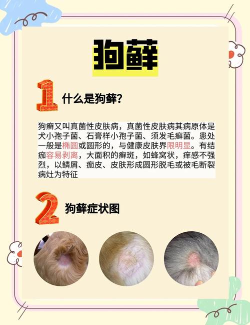 狗皮肤病有什么土方法可以治疗/治狗狗皮肤病的土方-第2张图片 狗皮肤病有什么土方法可以治疗/治狗狗皮肤病的土方-第2张图片